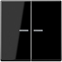 Лицевая панель Jung A creation для 2-кл. выключателя с подсветкой черный картинка